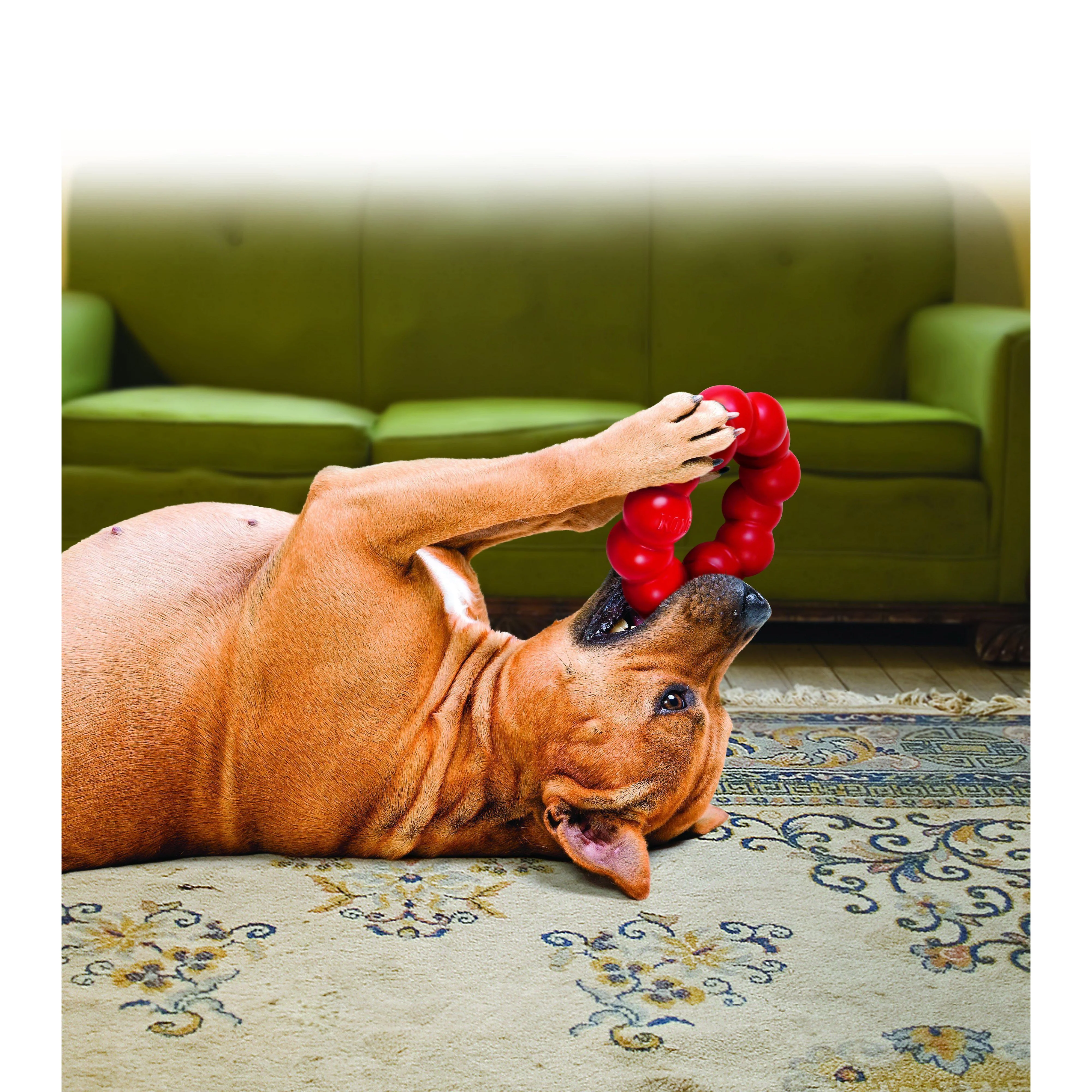 KONG Ring Medium/Large Dog Toy - Image 3