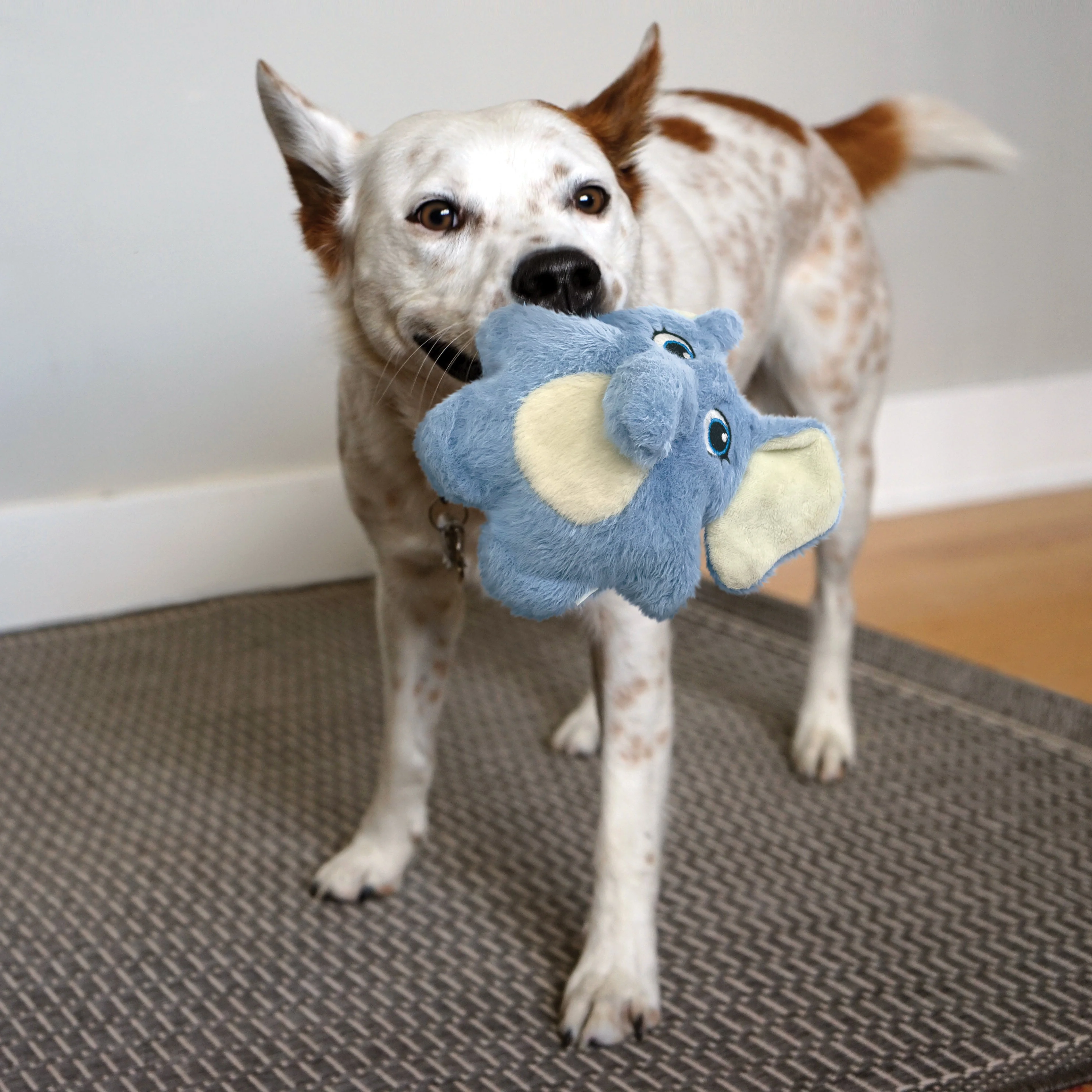 KONG Snuzzles Kiddos Elephant Small Dog Toy - Image 4