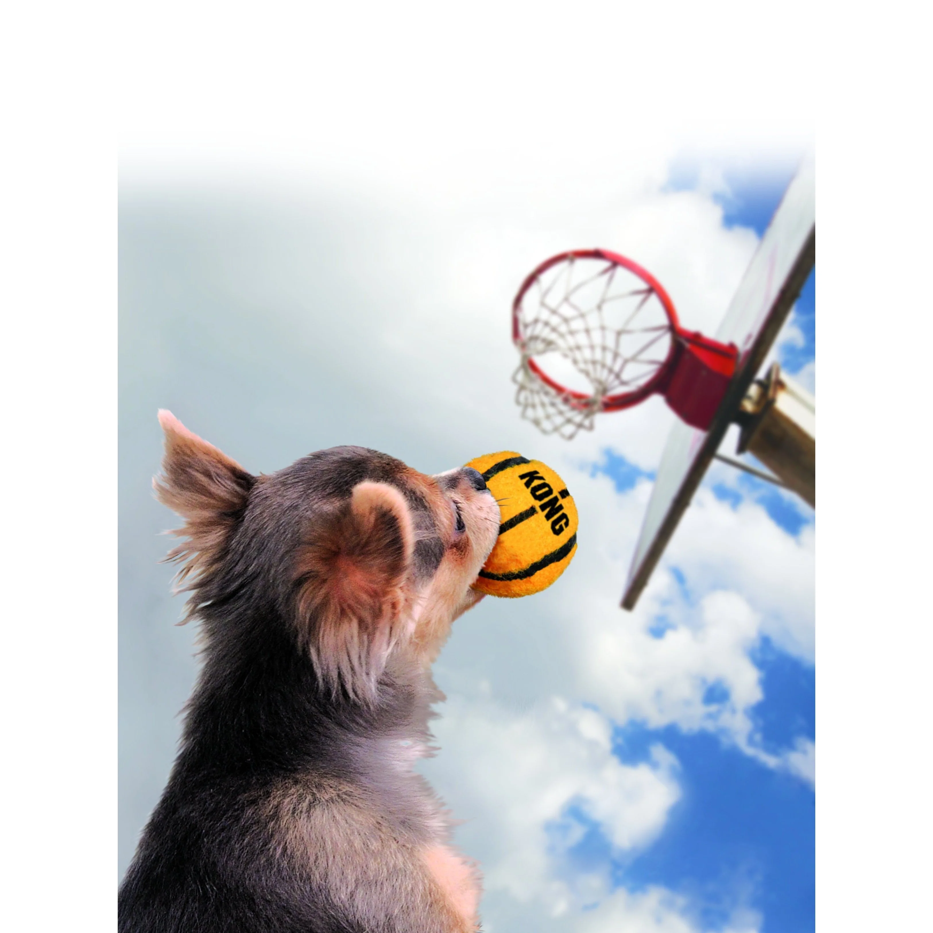 KONG Sports Balls Medium Dog Toy 3 Pack - Image 3