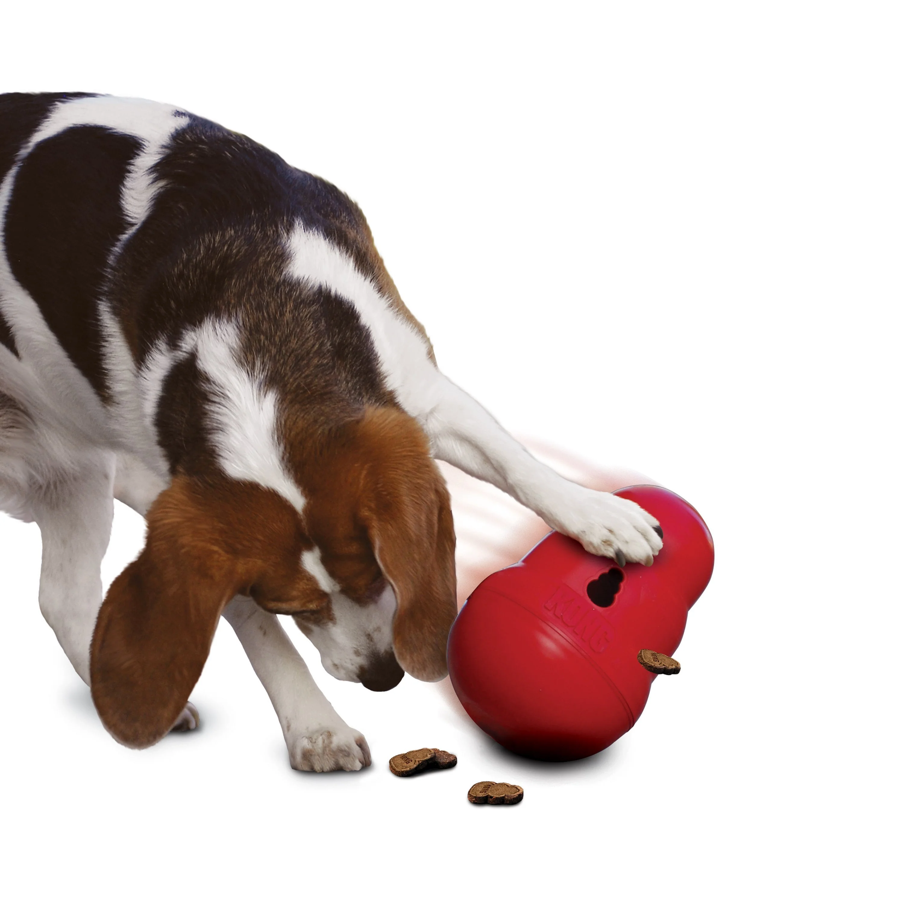 KONG Wobbler Large Dog Toy - Image 3