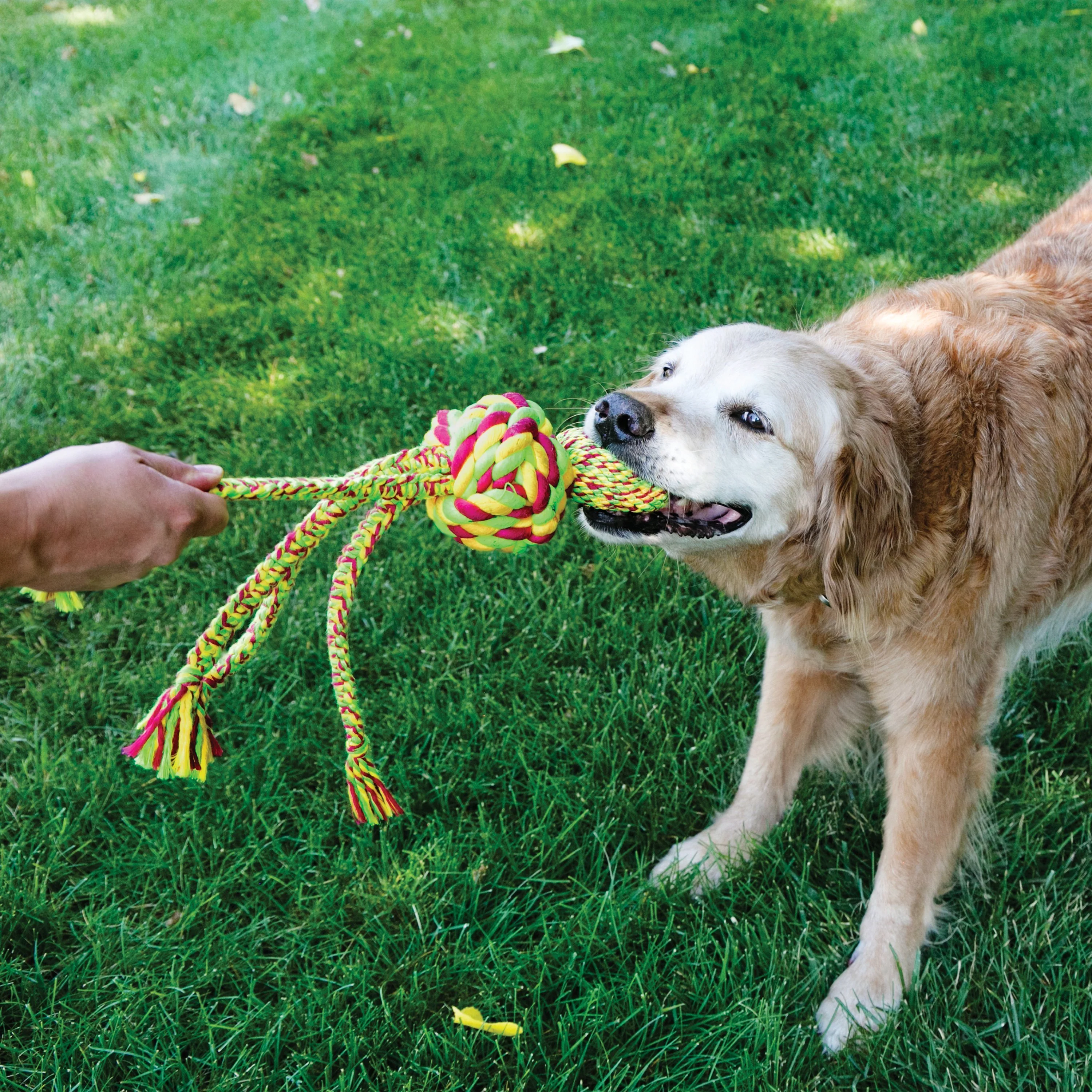 KONG Wubba Weaves With Rope Small Dog Toy - Image 3