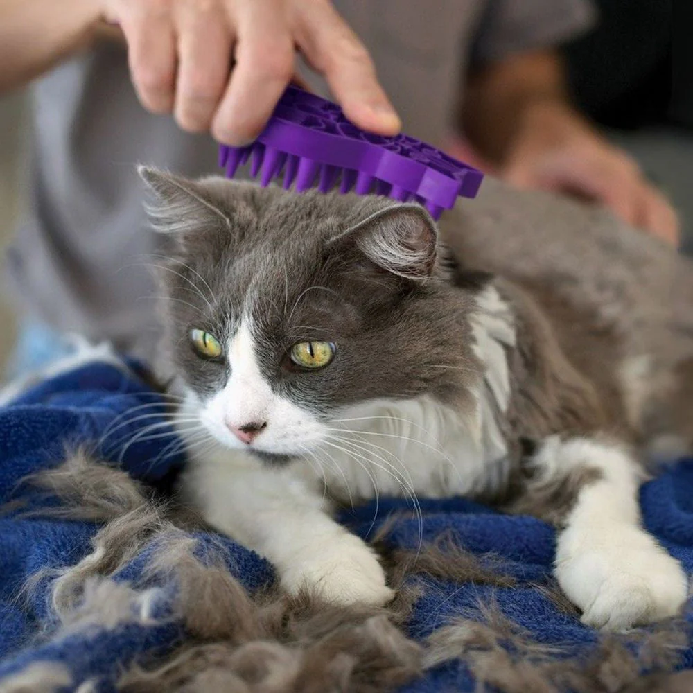 KONG Zoom Groom Cat Grooming Brush - Image 3
