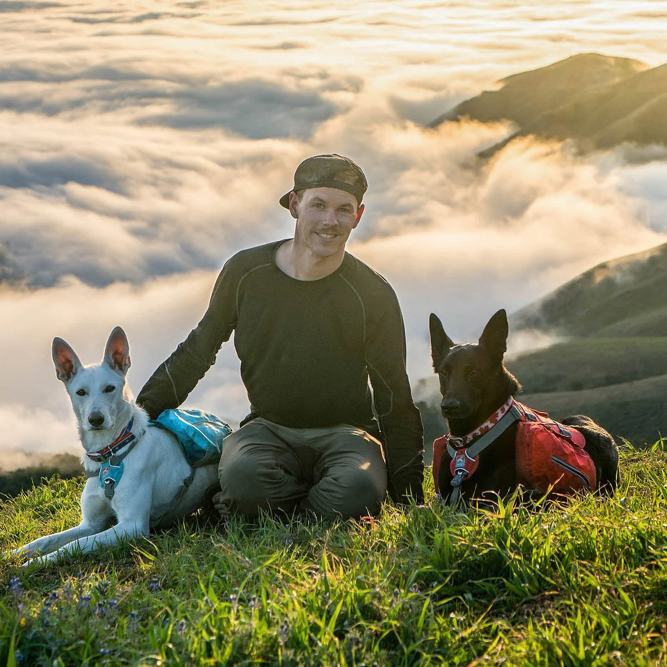 Kurgo Baxter Dog Pack - Image 14