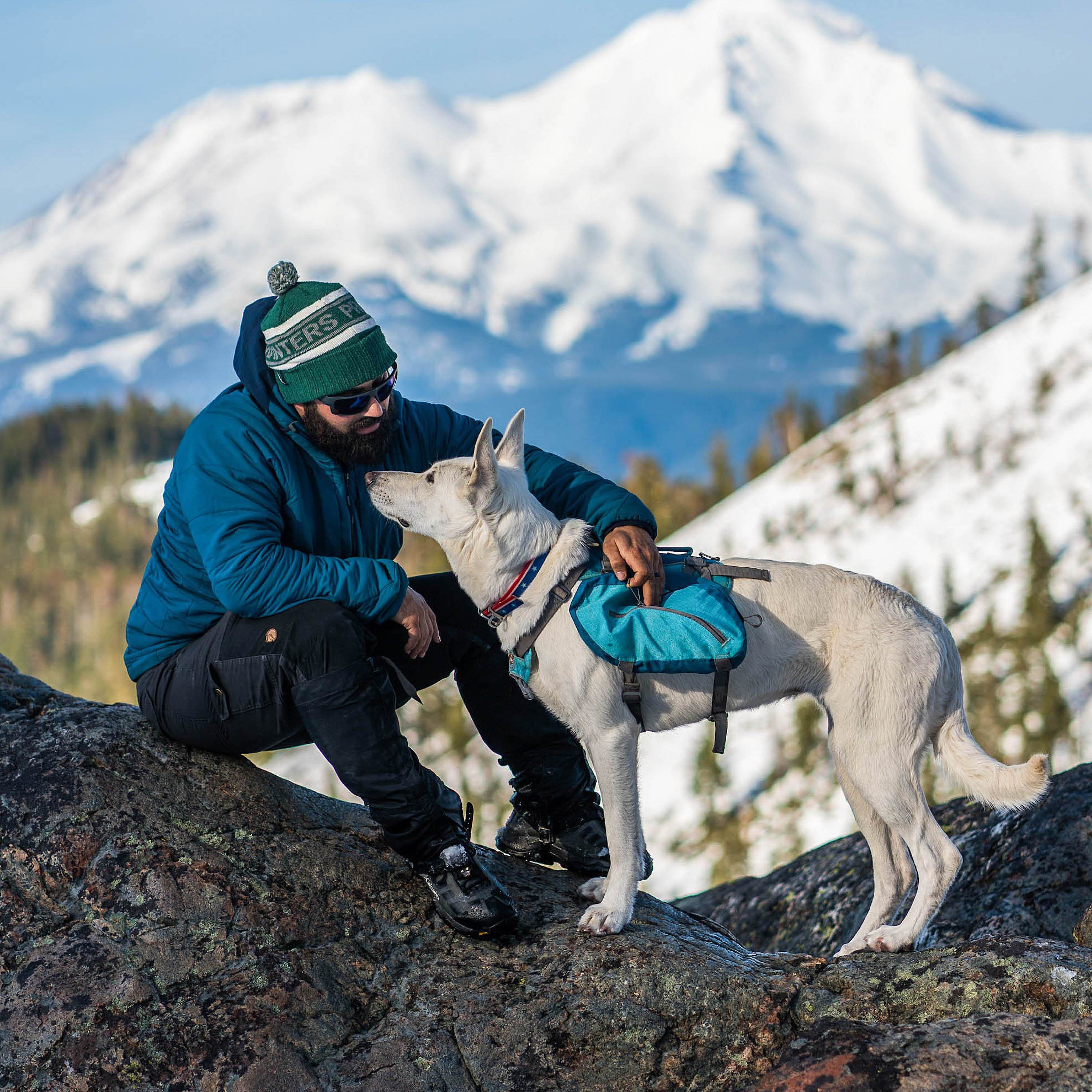Kurgo Baxter Dog Pack - Image 8