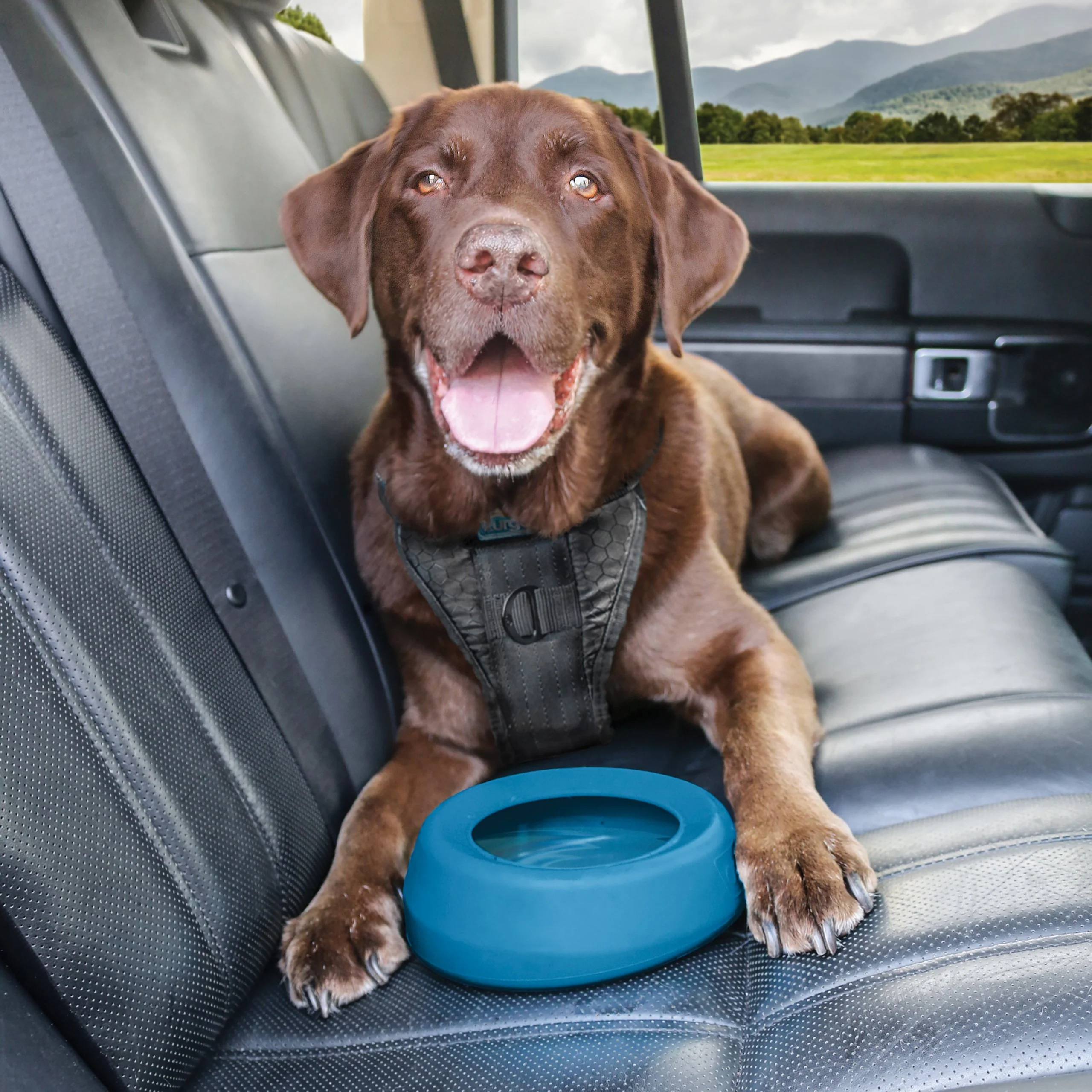 Kurgo Wander Dog Splash Free Travel Water Bowl - Image 5