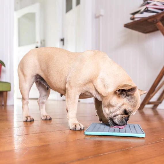 LickiMat Playdate Tuff Slow Feeder Mat for Dogs Turquoise - Image 5