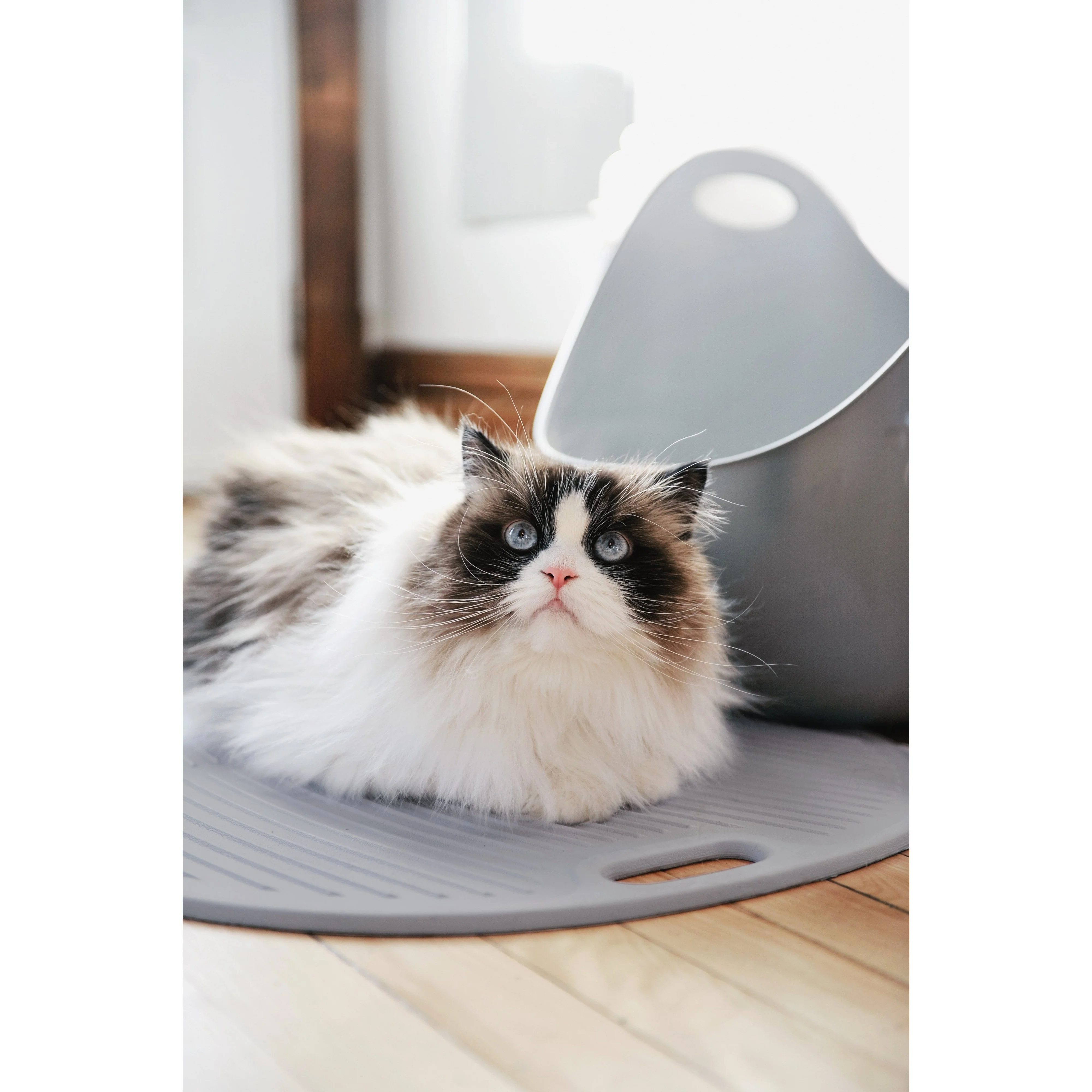 LitterLocker Cat Litter Box Mat - Image 7