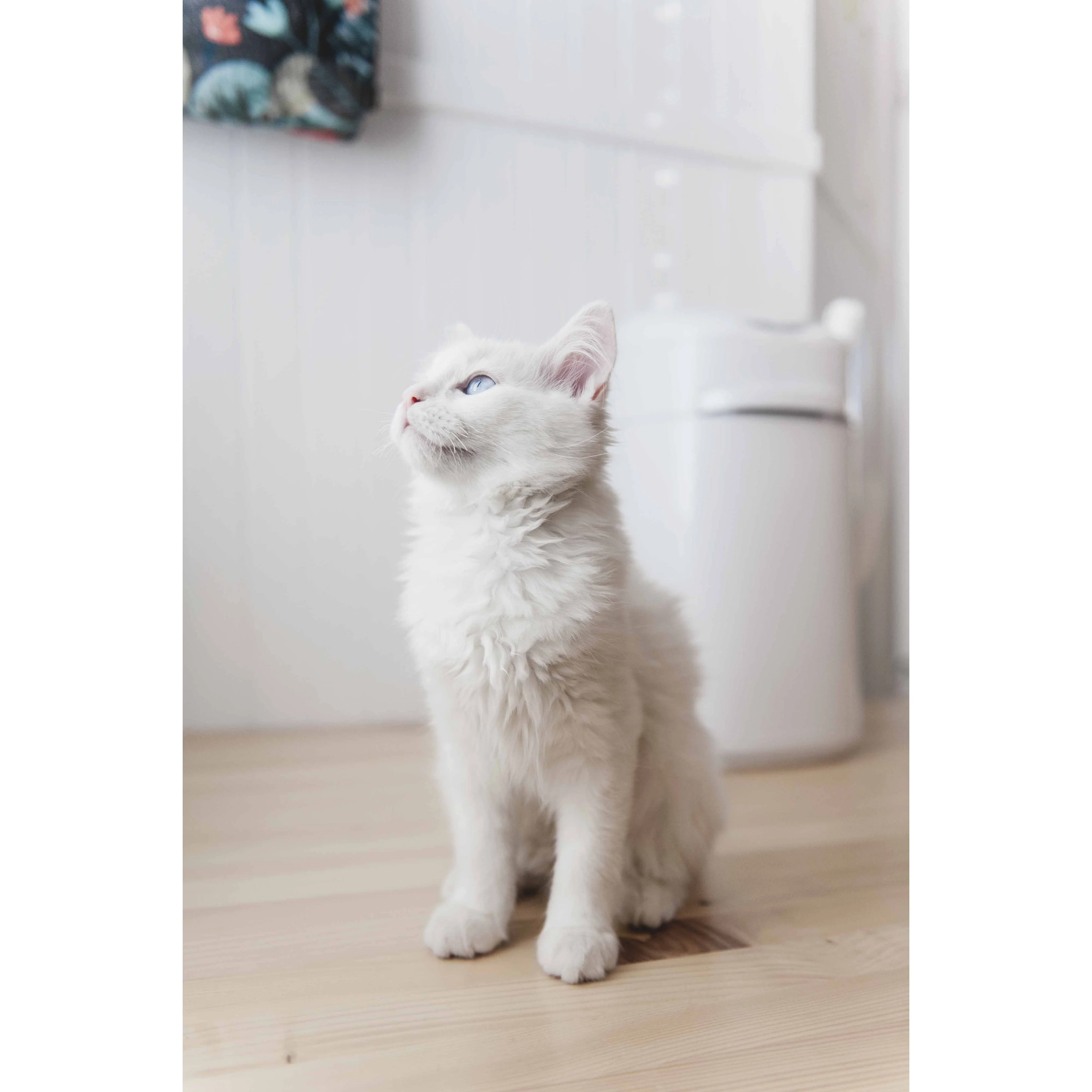 LitterLocker Cat Litter Disposal System - Image 3