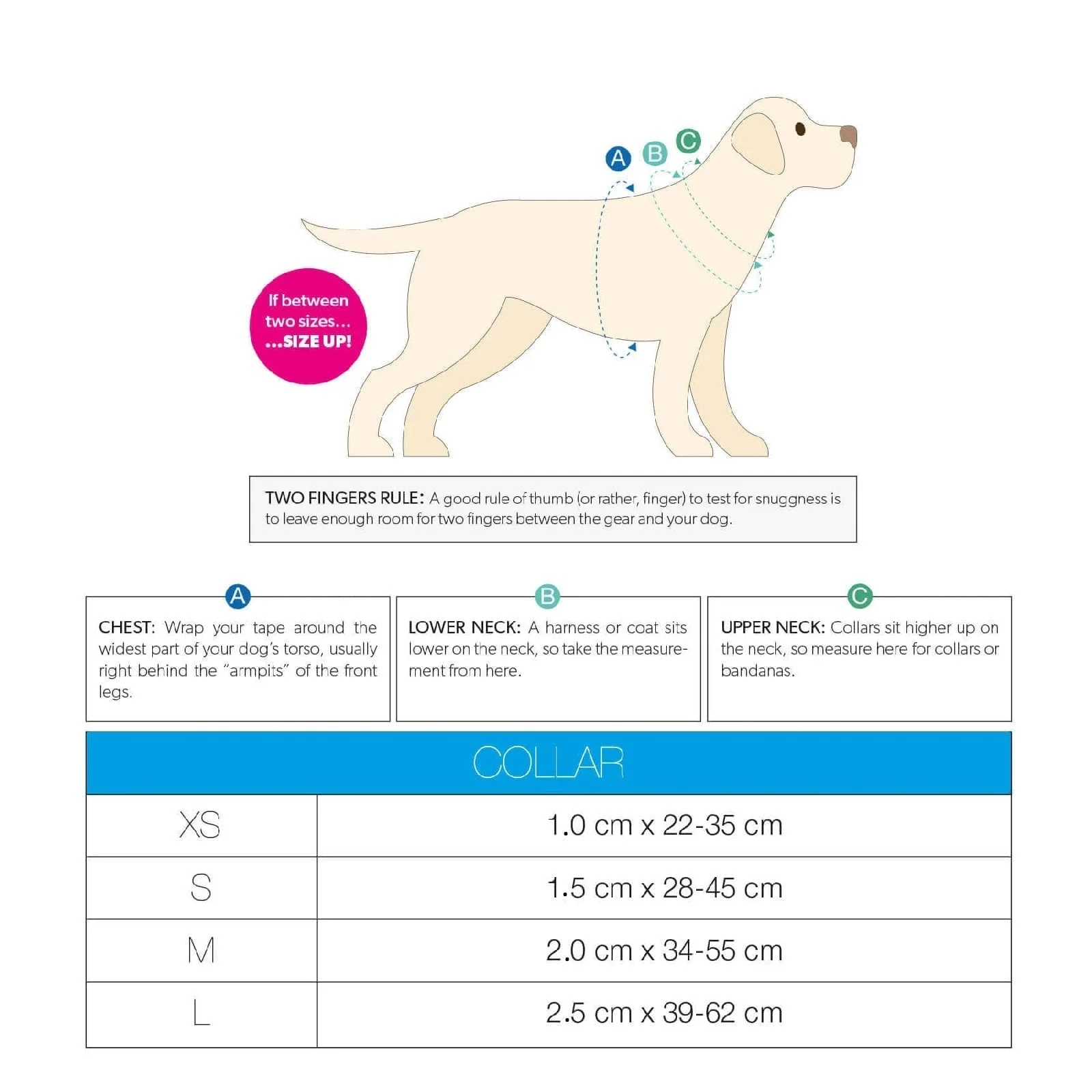 Max & Molly Monkey Maniac Smart ID Dog Collar Extra Small - Image 5