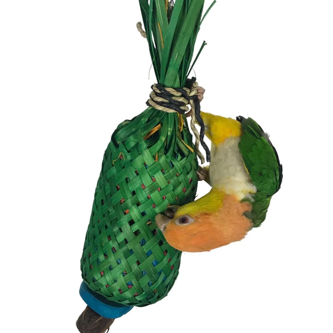 Ninos Java Pineapple foraging Toy for Birds Large - Image 2