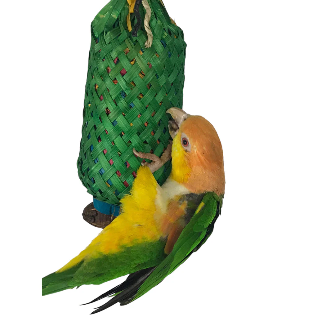 Ninos Java Pineapple foraging Toy for Birds Large - Image 3
