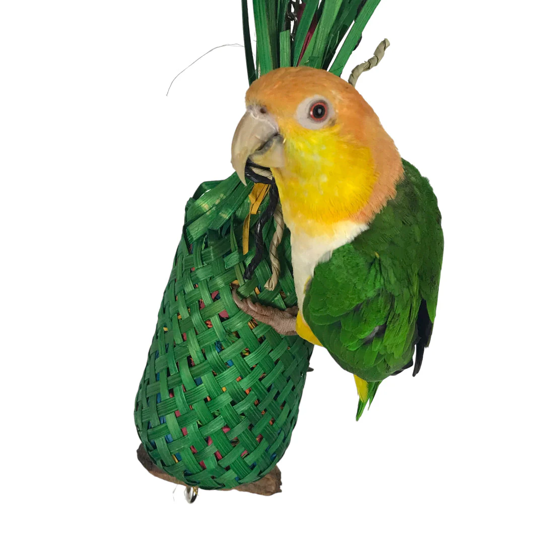 Ninos Java Pineapple foraging Toy for Birds Large - Image 4