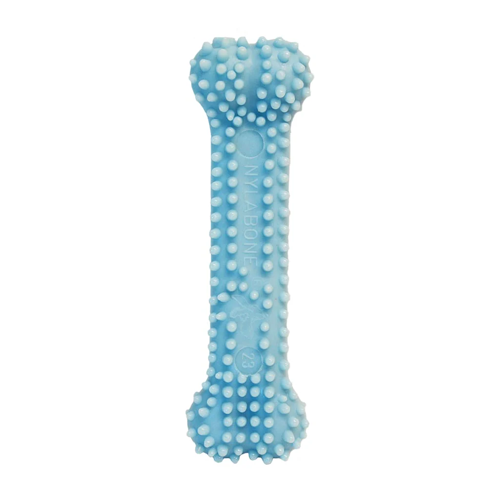 Nylabone Puppy Bone Dog Toy Chicken Petite - Image 2