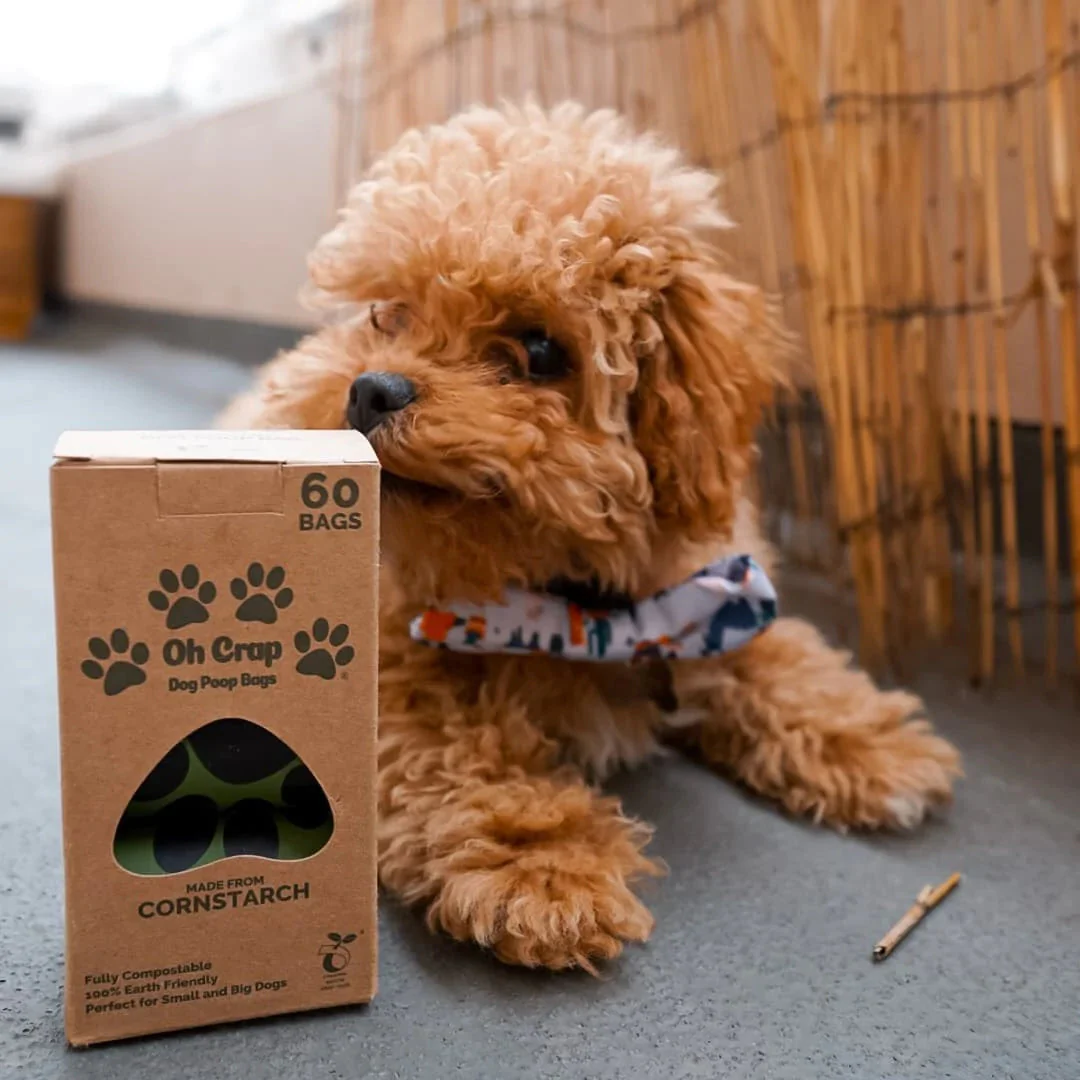 Oh Crap Compostable Dog Poop Bags 60 Pack - Image 3