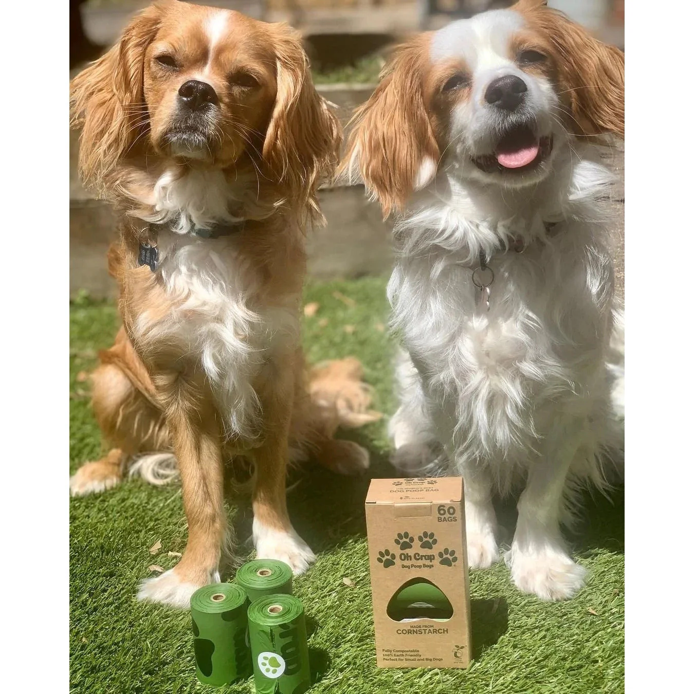 Oh Crap Compostable Dog Poop Bags 60 Pack - Image 4