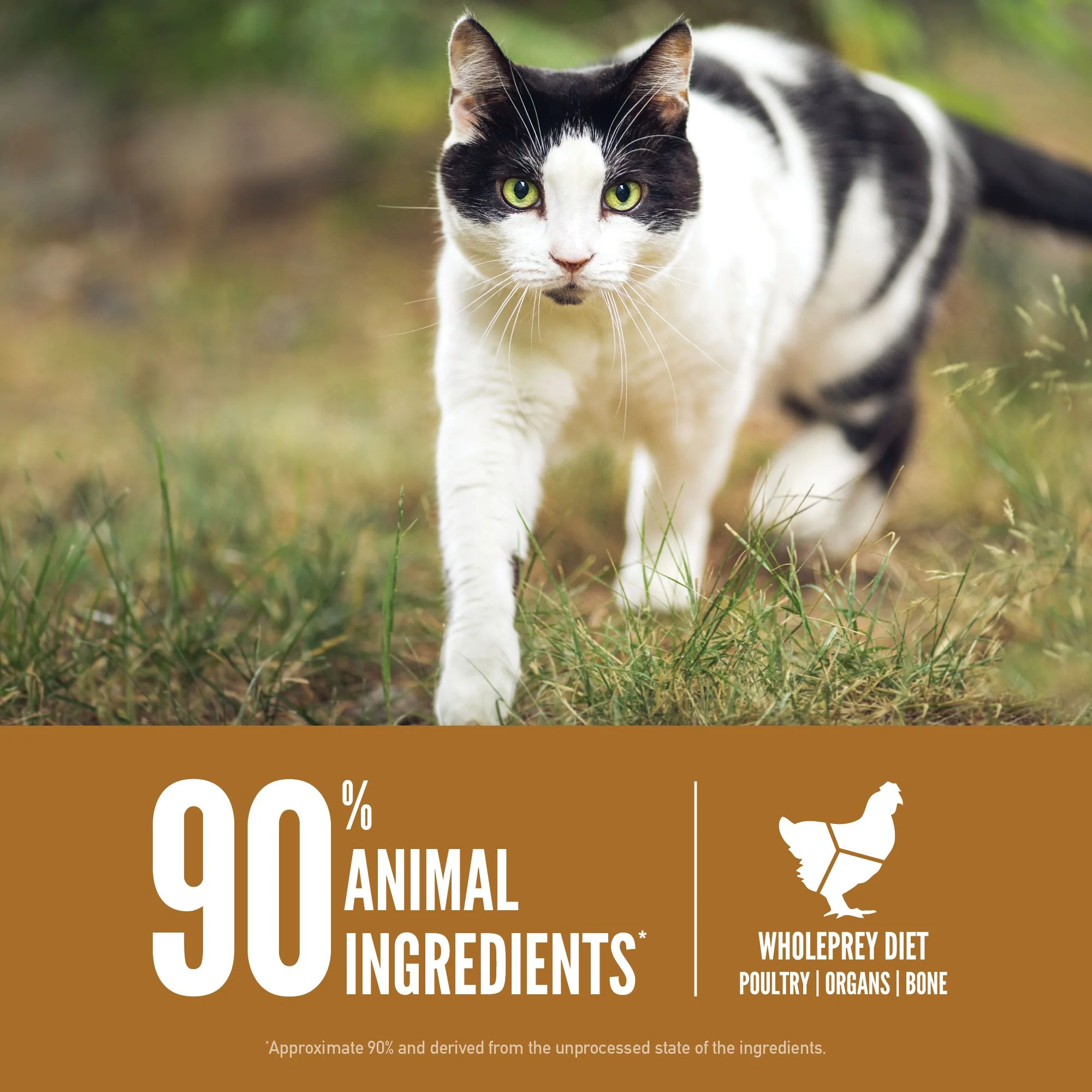 ORIJEN Original Biologically Appropriate Dry Cat Food 5.4kg - Image 7
