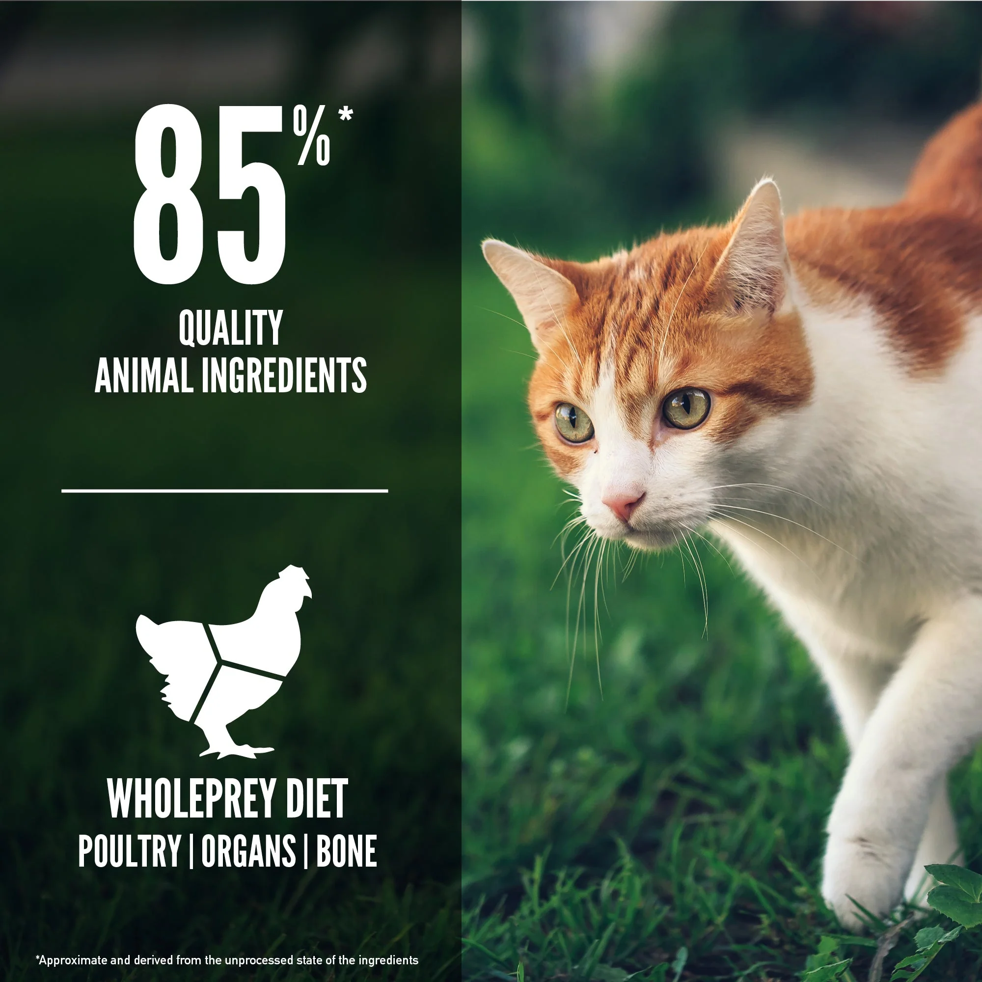 ORIJEN Fit and Trim Biologically Appropriate Dry Cat Food 3.17kg - Image 7