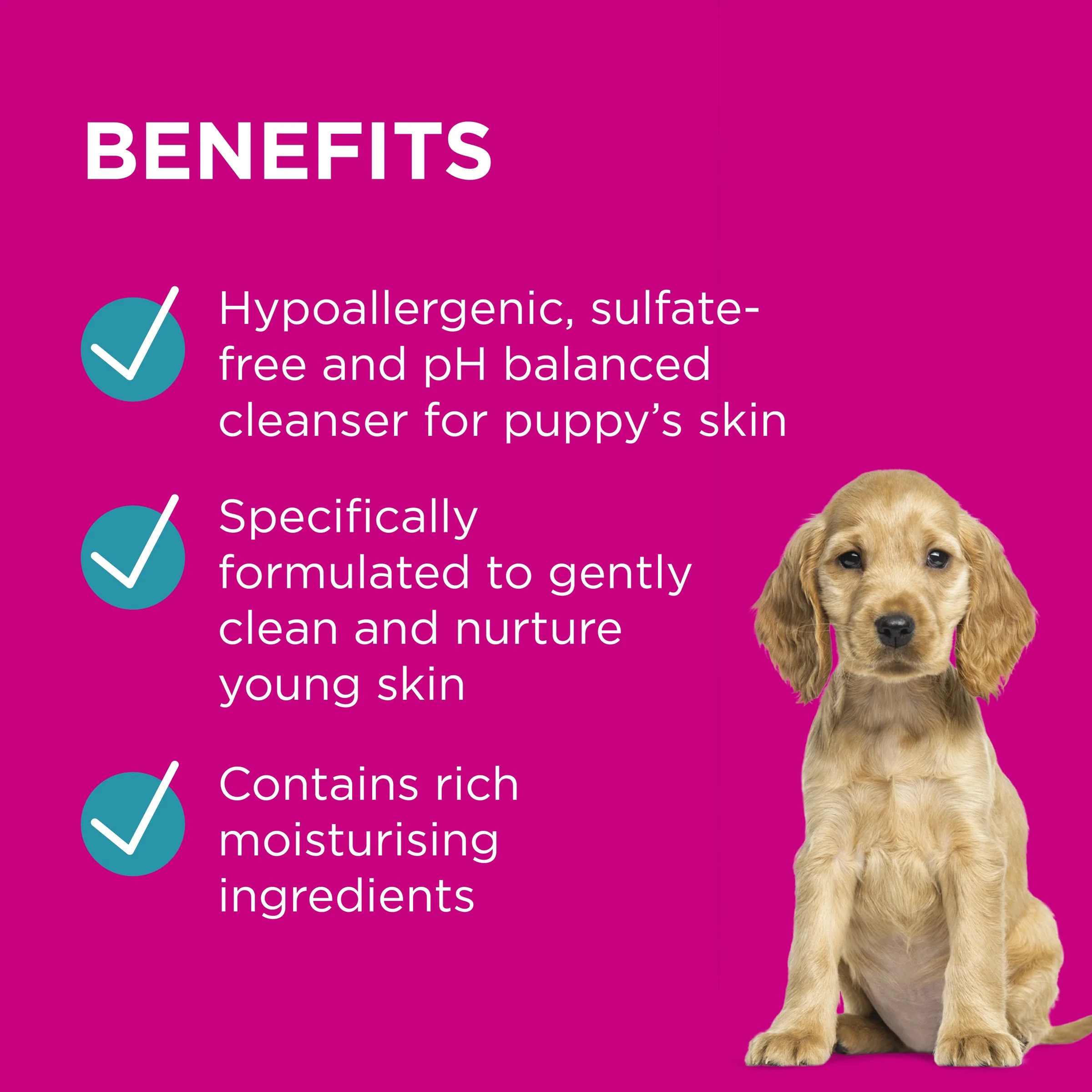 PAW by Blackmores Gentle Puppy Conditioning Spray for Dogs 200ml - Image 4