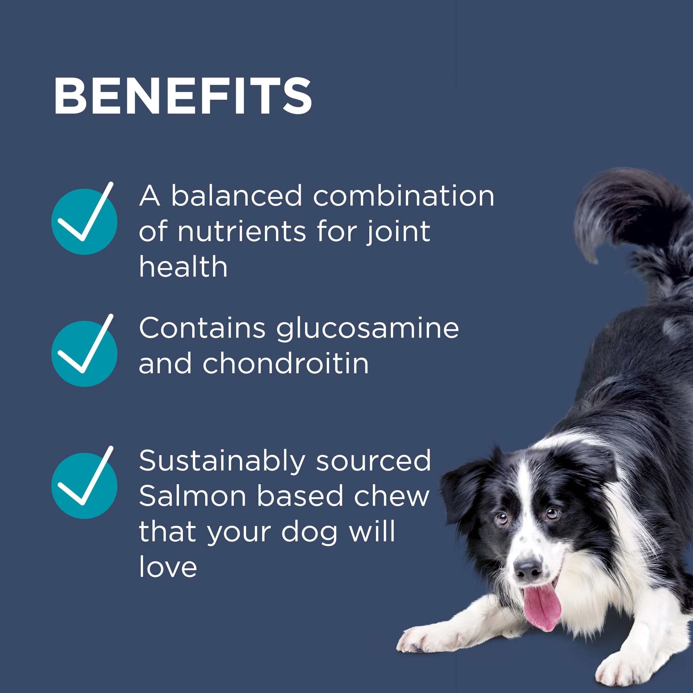 PAW by Blackmores Osteocare Joint Protect Chews for Dogs 500g - Image 4