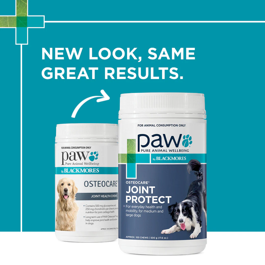 PAW by Blackmores Osteocare Joint Protect Chews for Dogs 500g - Image 8