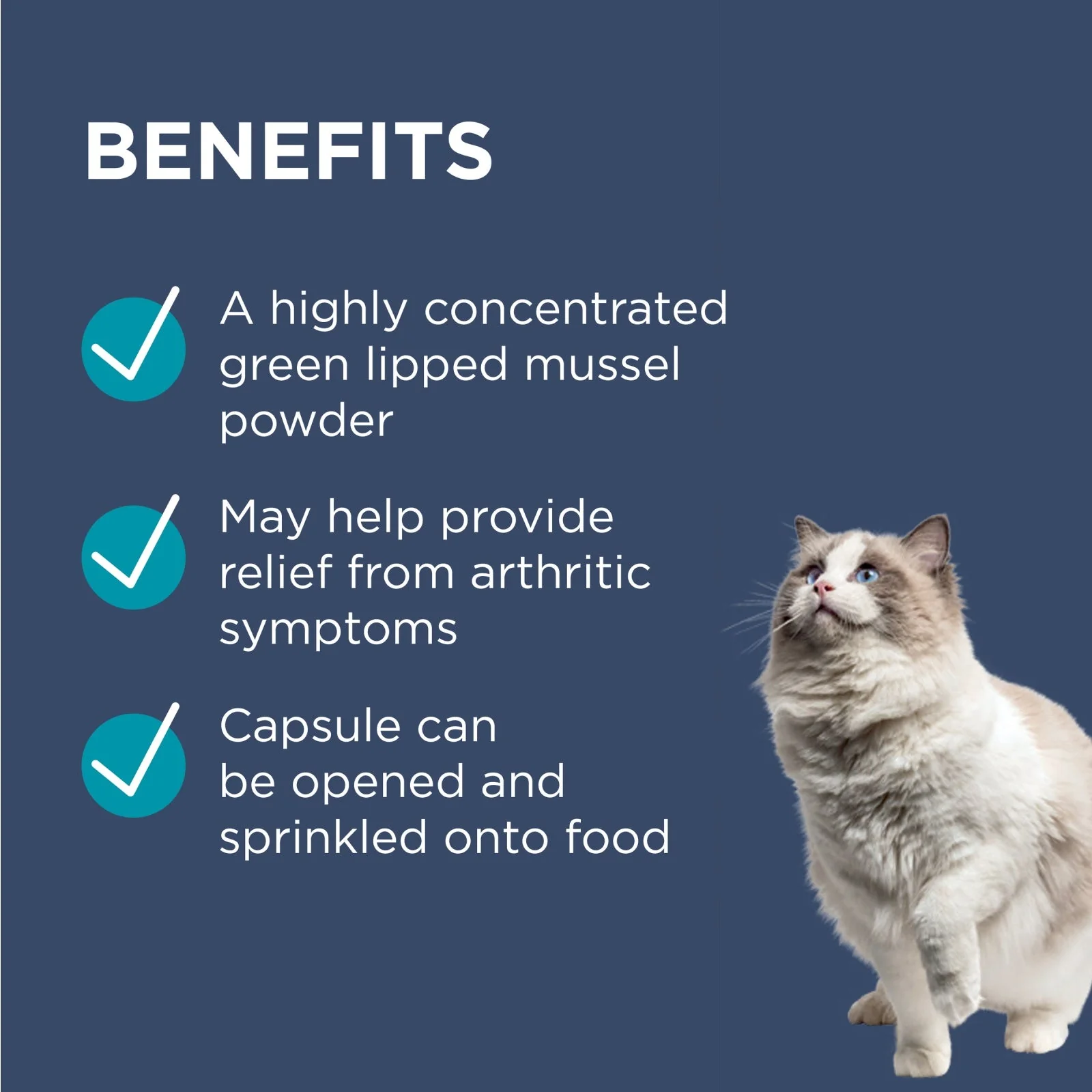 PAW by Blackmores Osteosupport Joint Care Powder Capsules for Cats 60 Pack - Image 6