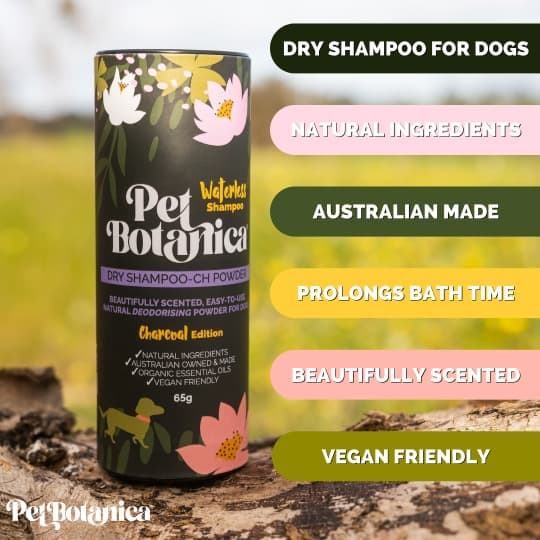 Pet Botanica Dry Shampoo Powder Charcoal Edition for Dogs 65g - Image 3