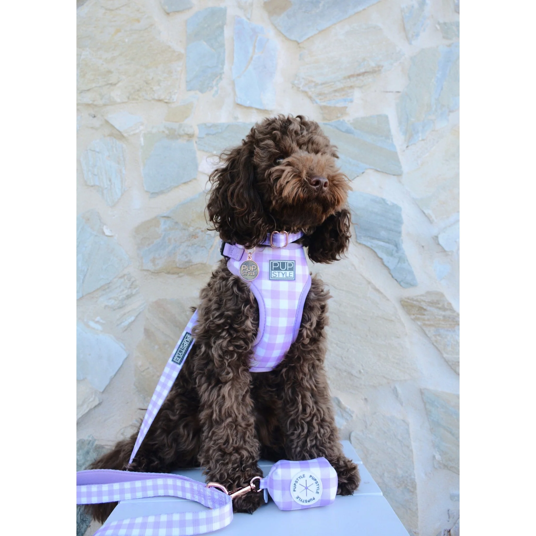 Pupstyle Suburban Berry Milkshake Dog Harness Extra Large - Image 4