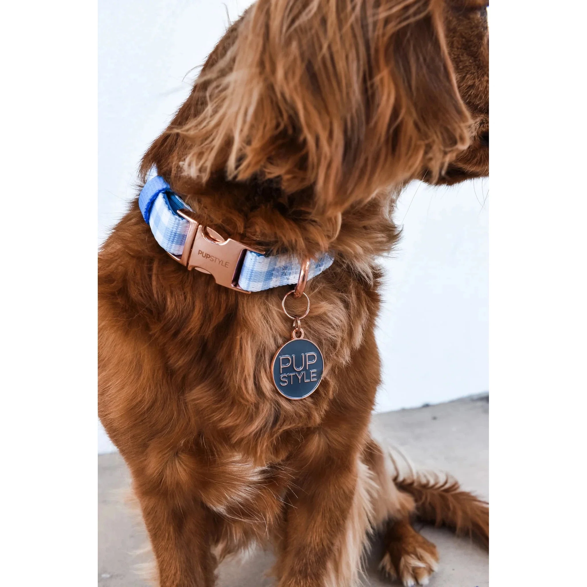 Pupstyle Suburban Collection Blueberry Muffin Dog Collar Medium - Image 3