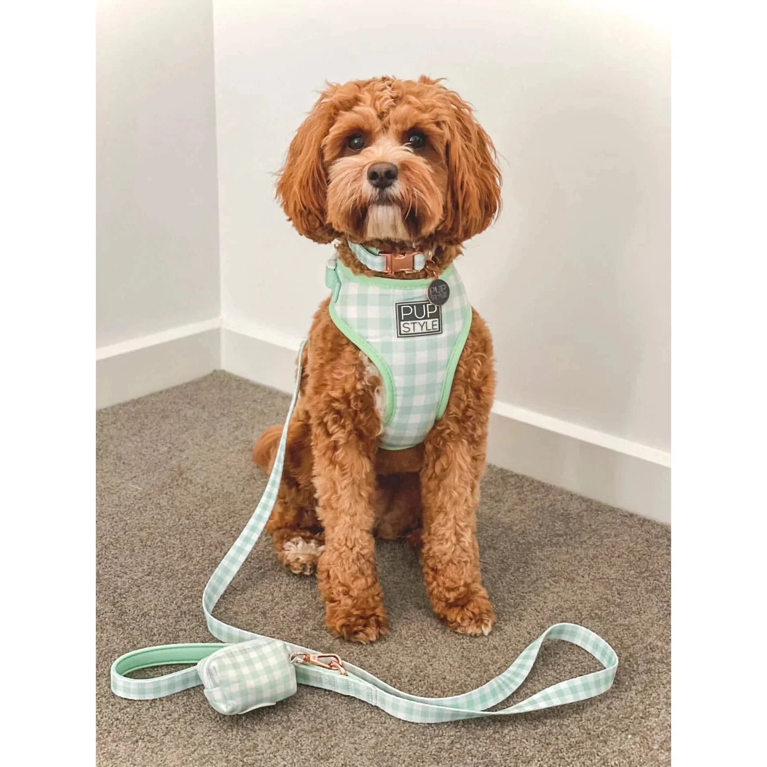 Pupstyle Suburban Collection Sweet Apple Dog Harness Extra Small - Image 7