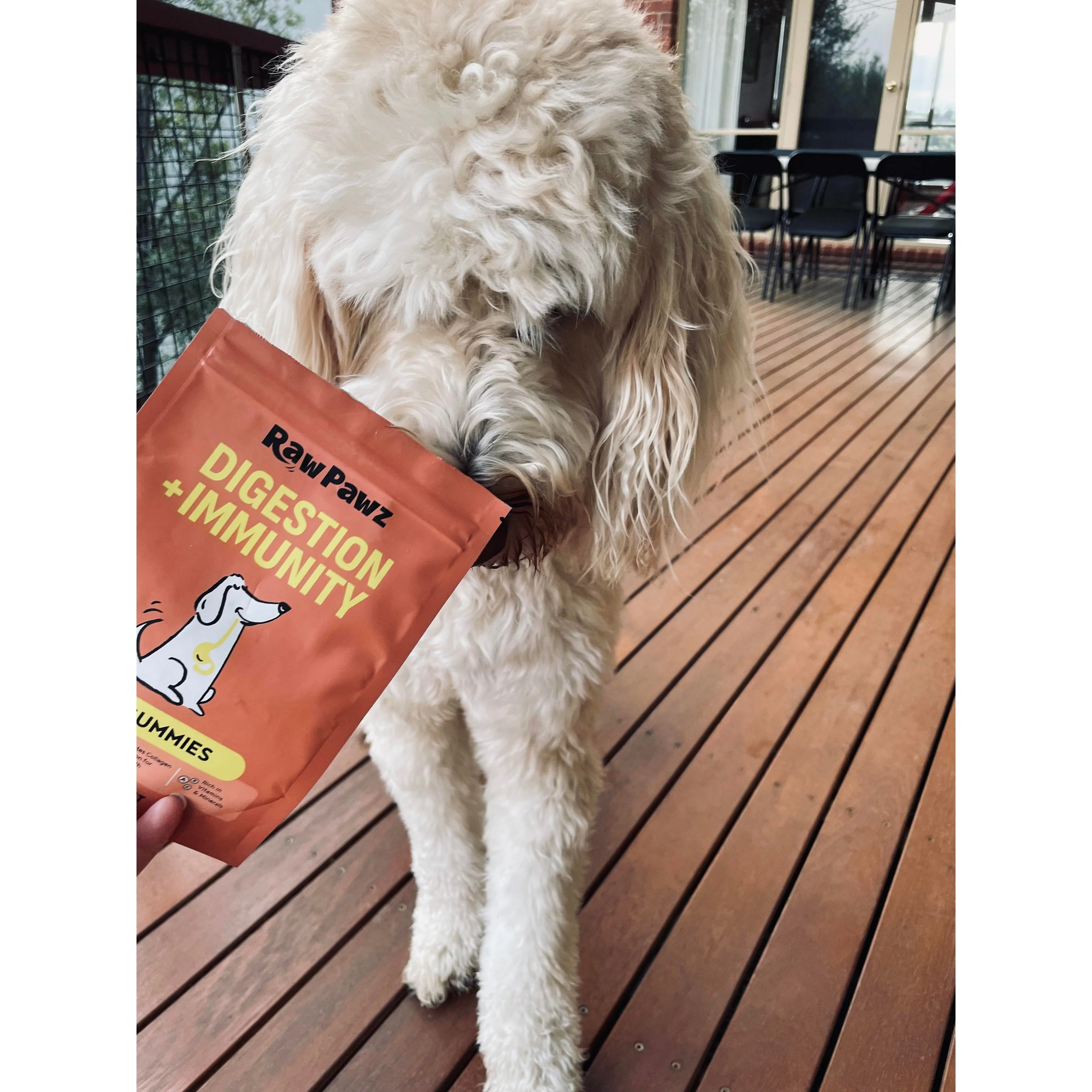 Raw Pawz DIY Gummies Red Velvet Dog Treats 90g - Image 4