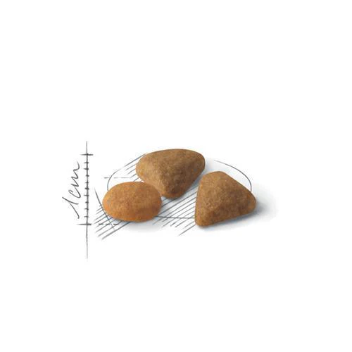 Royal Canin Cat Exigent Savour Adult Dry Food 2kg - Image 2