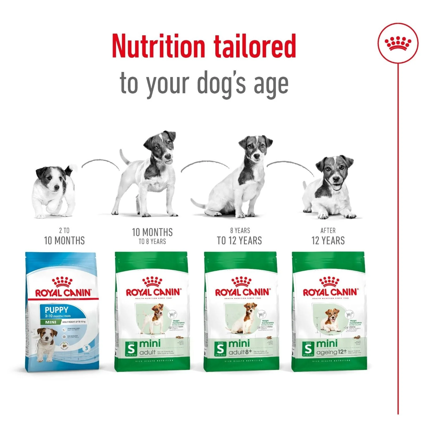 Royal Canin Dog Mini Adult 8+ Dry Food 2kg - Image 3