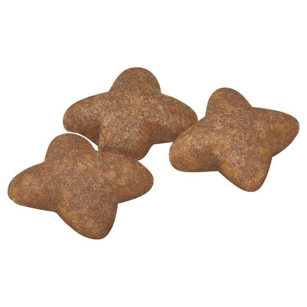 Royal Canin Dog Mini Adult Dry Food 8kg - Image 3