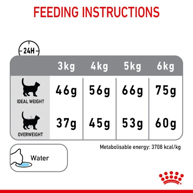 Royal Canin Cat Dental Care Adult Dry Food 1.5kg - Image 6