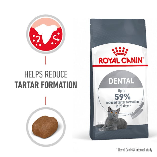 Royal Canin Cat Dental Care Adult Dry Food 3.5kg - Image 3