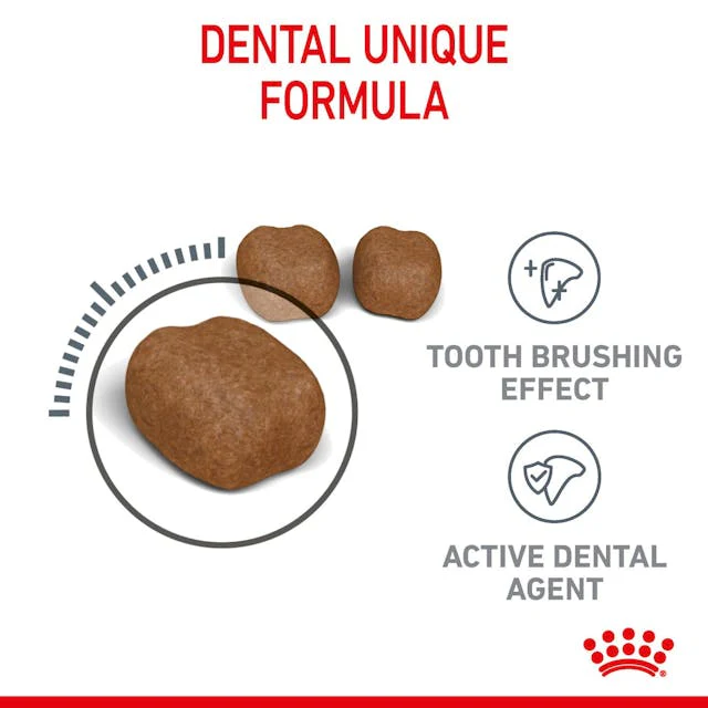 Royal Canin Cat Dental Care Adult Dry Food 8kg - Image 2