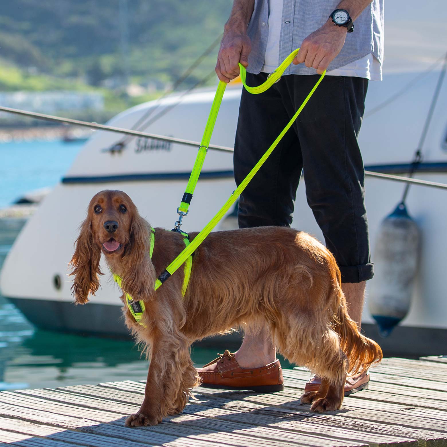 Rogz Control Dog Harness Red Small - Image 3