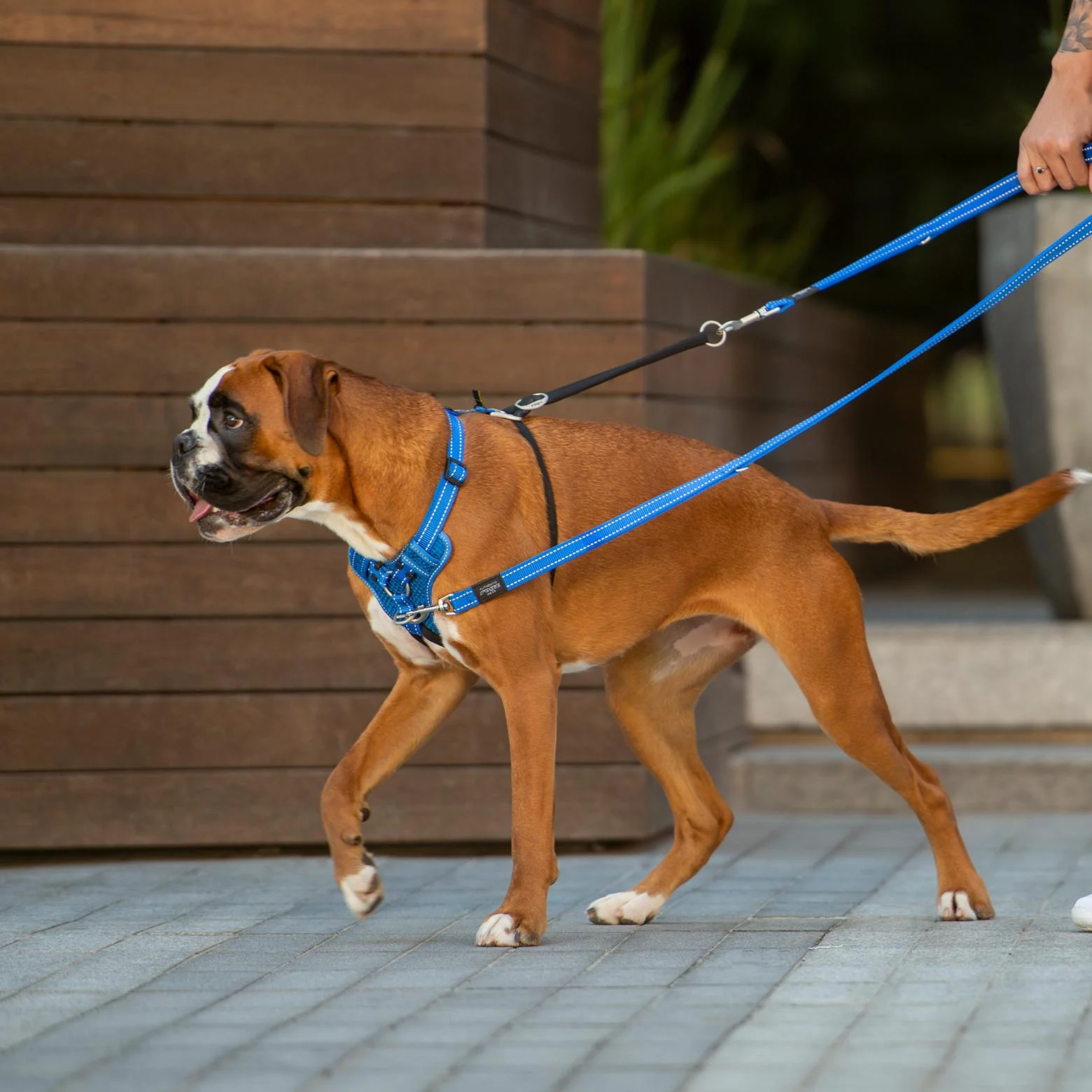Rogz Control Stop Pull Dog Harness Black Medium - Image 8