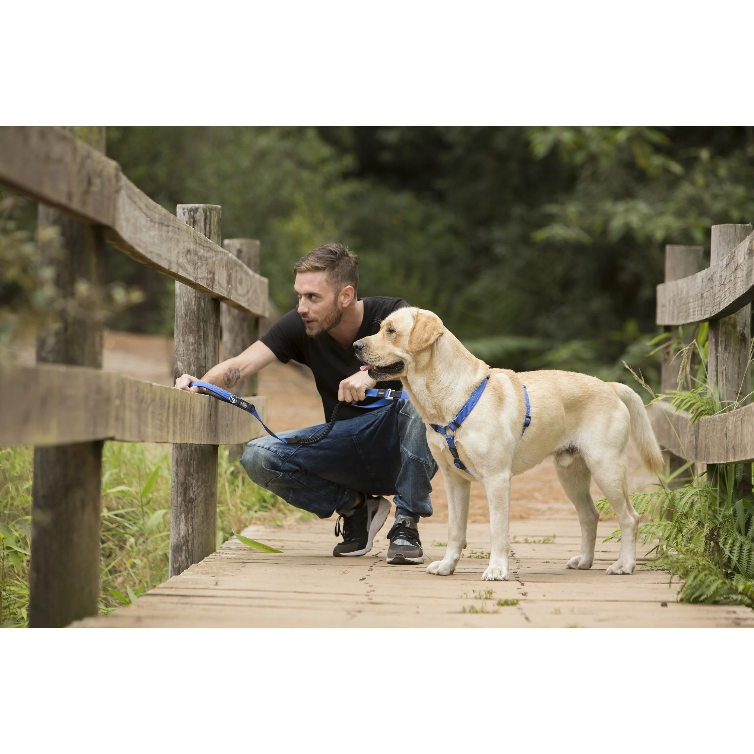 Rogz Classic Control Extra Large Long Dog Lead Blue - Image 2