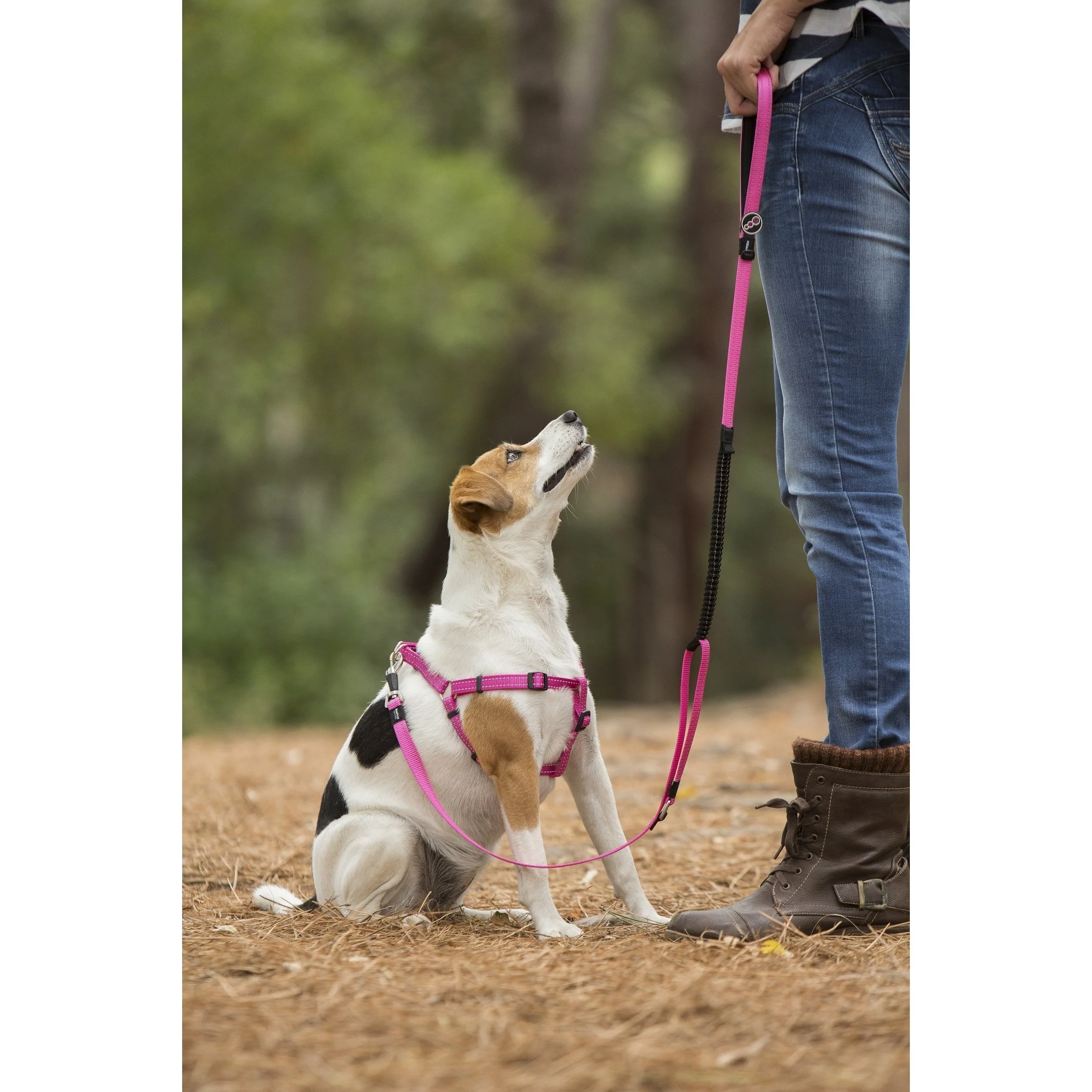 Rogz Classic Control Medium Dog Lead Pink - Image 2