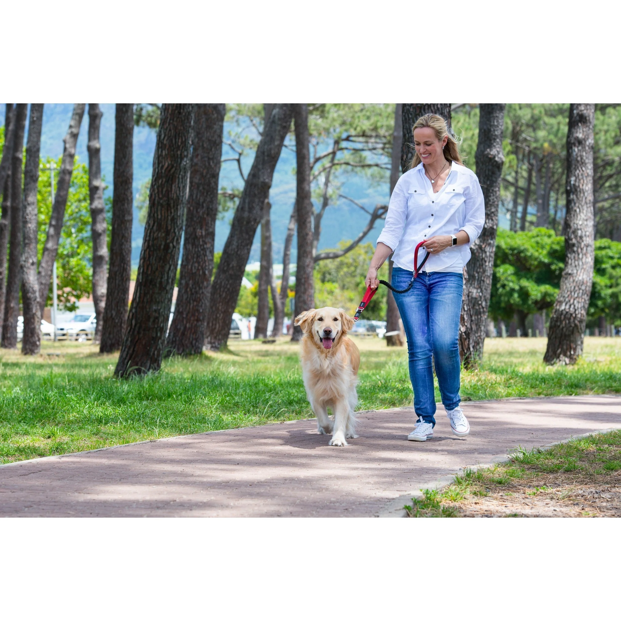 Rogz Classic Control Medium Dog Lead Red - Image 2