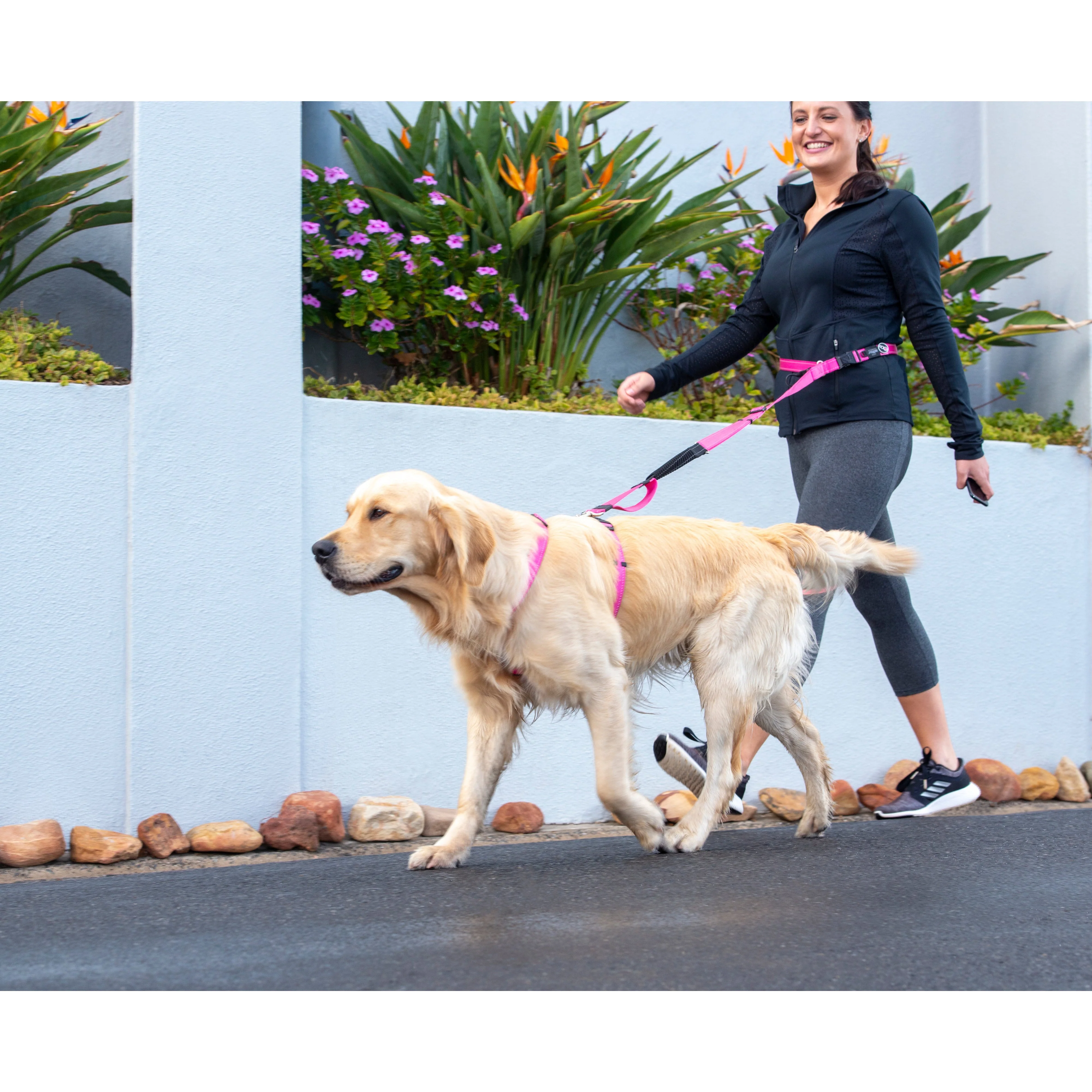 Rogz Specialty Handsfree Large Dog Lead Pink - Image 3
