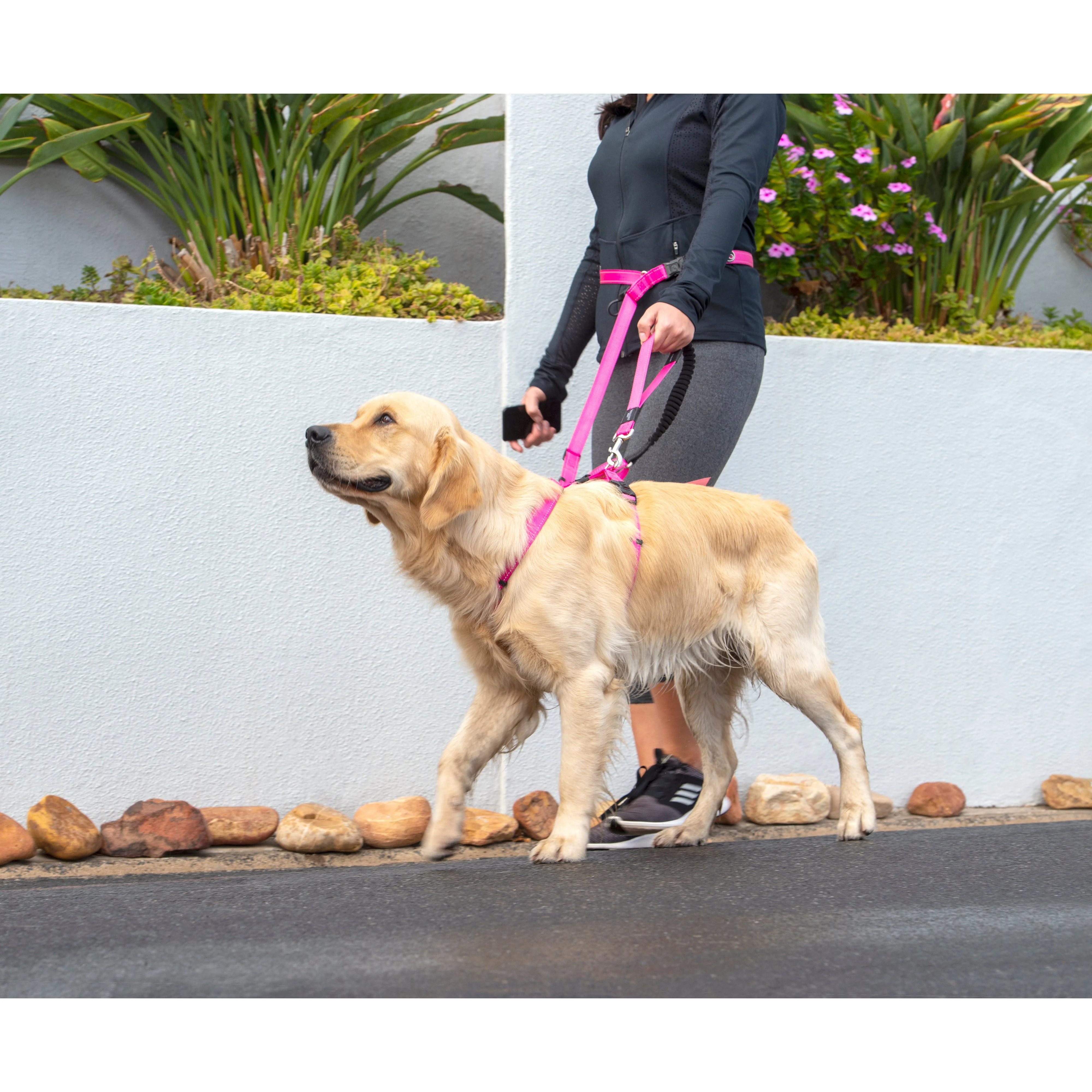 Rogz Specialty Handsfree Large Dog Lead Pink - Image 5