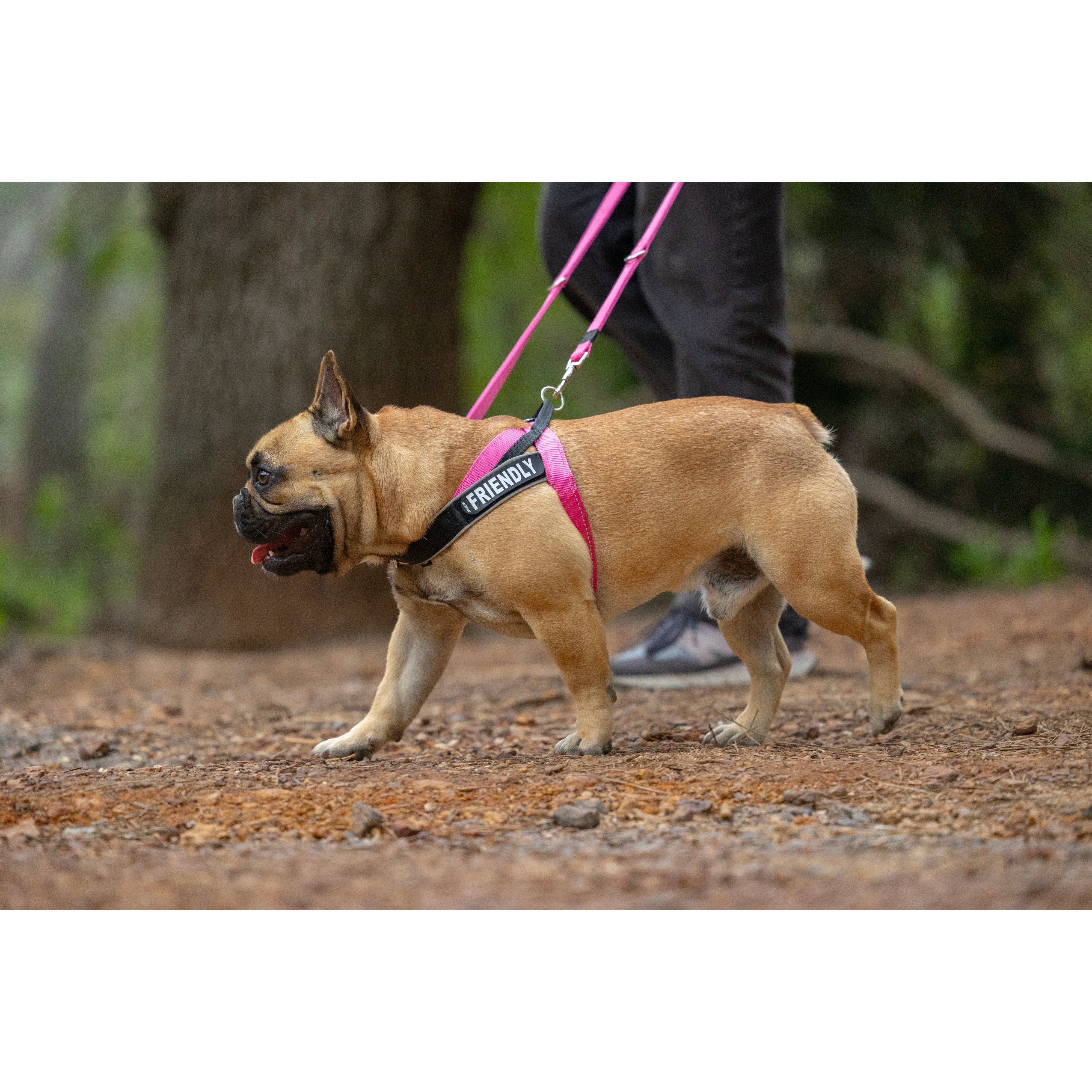 Rogz Utility LetzGo Personalisable Harness Pink Sml - Image 2
