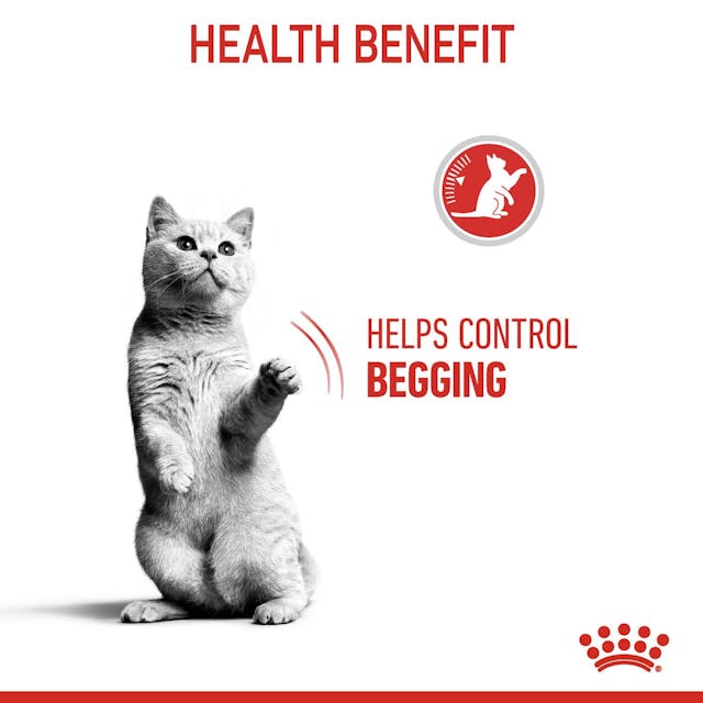 Royal Canin Cat Appetite Control Dry Food 3.5kg - Image 3