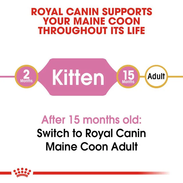 Royal Canin Maine Coon Kitten Dry Food 2kg - Image 5
