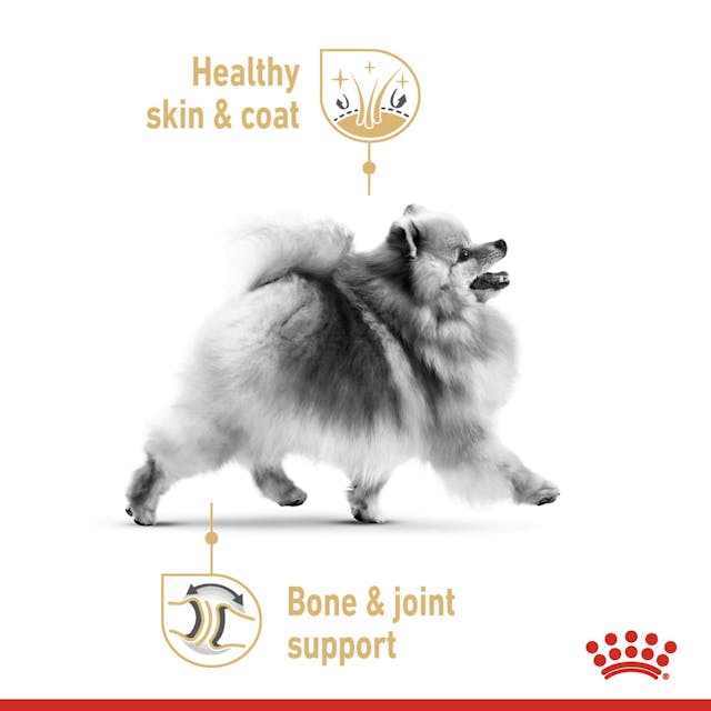 Royal Canin Dog Pomeranian Adult Dry Food 1.5kg - Image 3