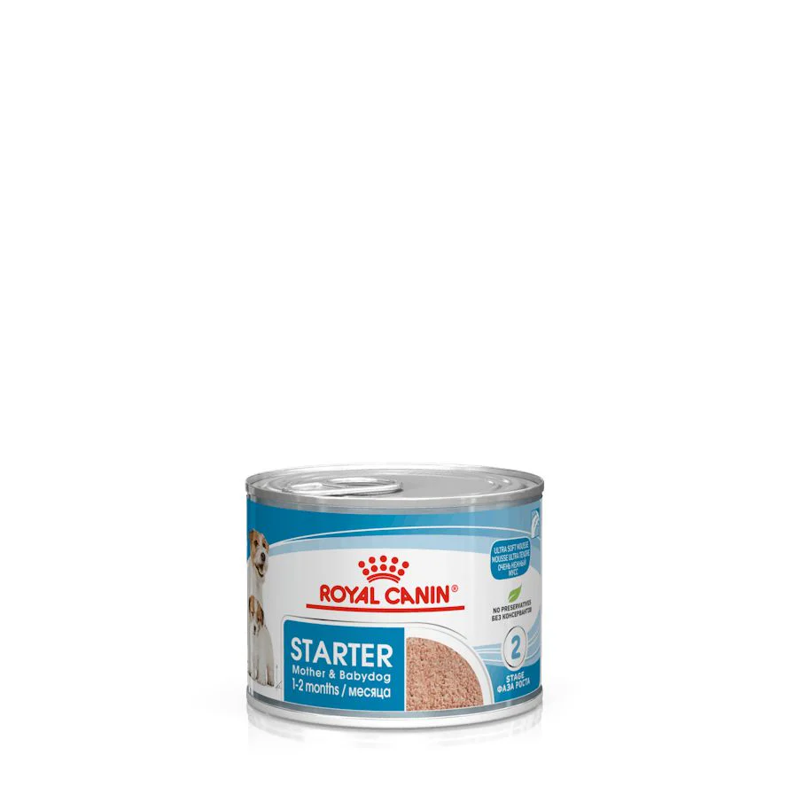 Royal Canin Mother and Babydog Puppy Mousse Wet Food 195g
