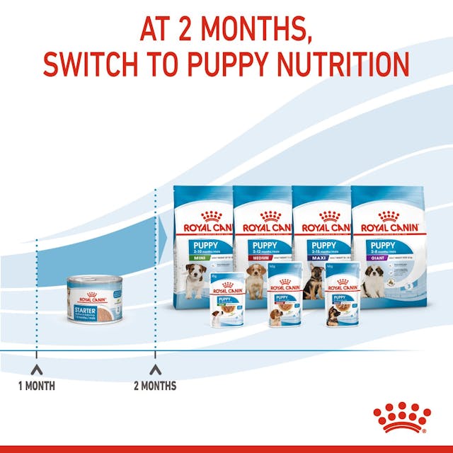 Royal Canin Mother and Babydog Puppy Mousse Wet Food 195g - Image 3