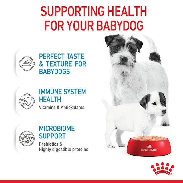 Royal Canin Mother and Babydog Puppy Mousse Wet Food 195g - Image 5